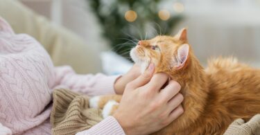 Treatment Center Offers Pet-Inclusive Therapy