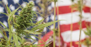 Congress Tightens THC Restrictions on Hemp, Closing the 2018 Farm Bill Loophole